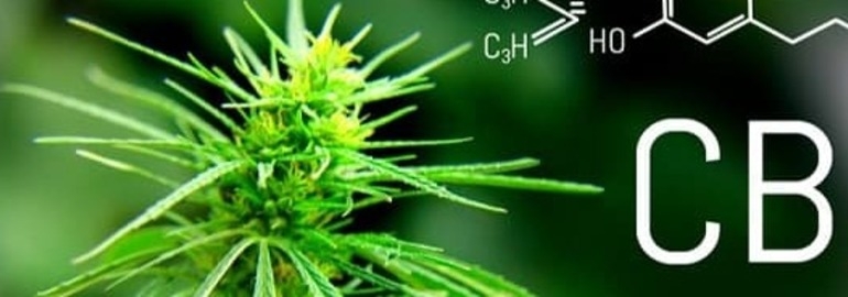 El CBD, y sus beneficios en la salud.