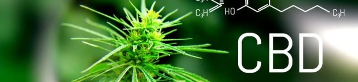 El CBD, y sus beneficios en la salud.